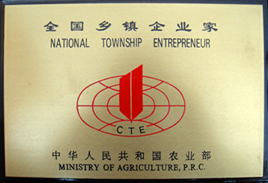 全國鄉鎮企業家